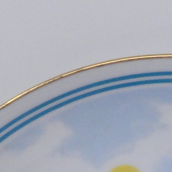 Rare Limited Edition Porcelain Plate Aloha Spirit - Picture 6 of 6